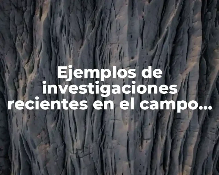 Ejemplos de investigaciones recientes en el campo de la administración