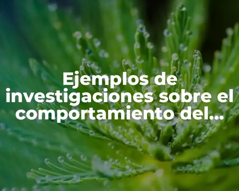 Ejemplos de investigaciones sobre el comportamiento del mexicano