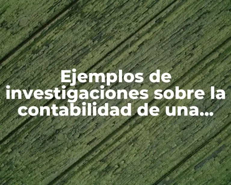 Ejemplos de investigaciones sobre la contabilidad de una empresa