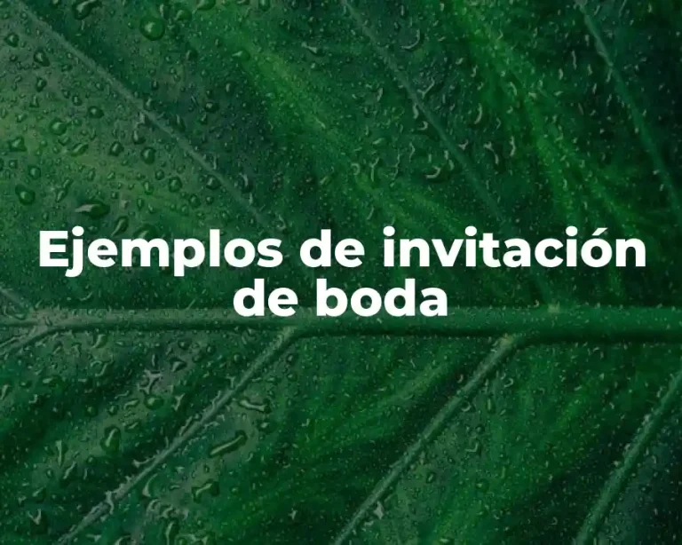 Ejemplos de invitación de boda