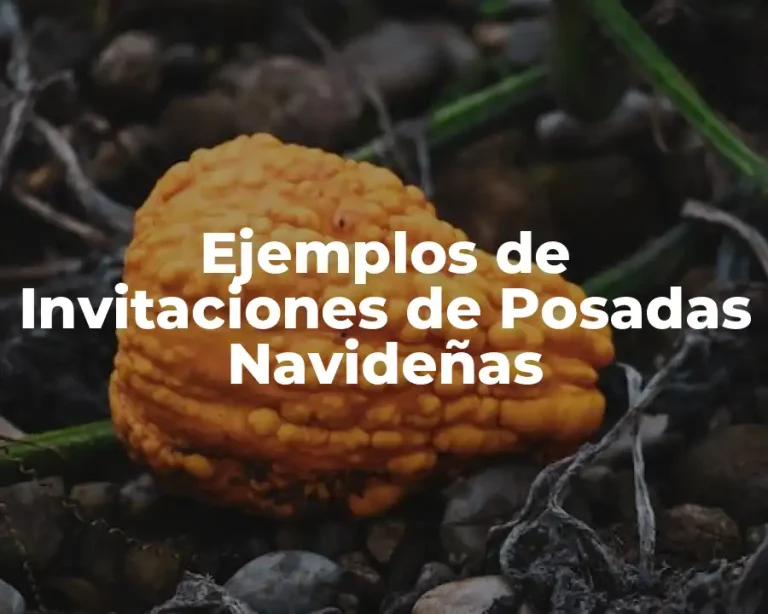 Ejemplos de Invitaciones de Posadas Navideñas