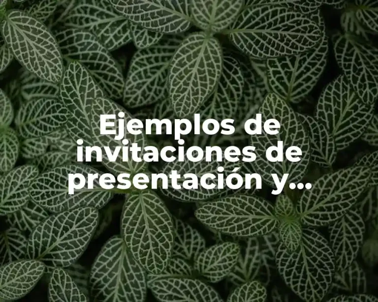 Ejemplos de invitaciones de presentación y Significado