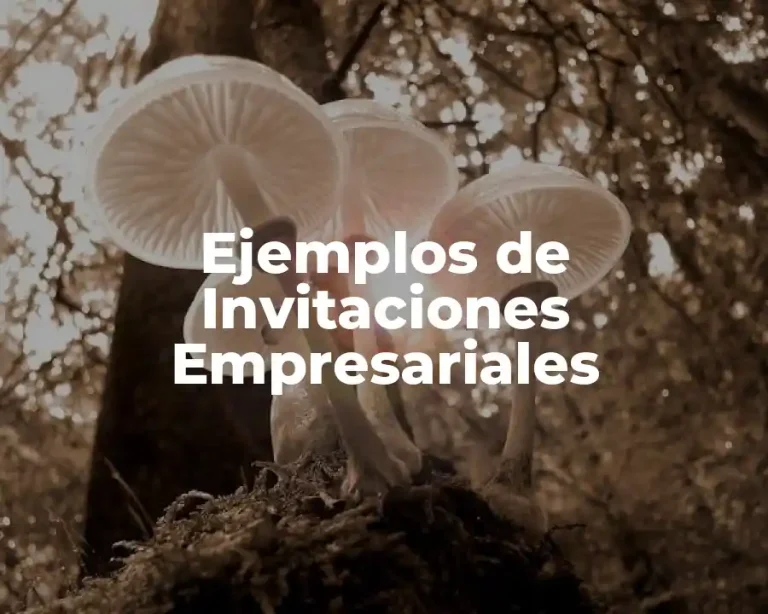 Ejemplos de Invitaciones Empresariales