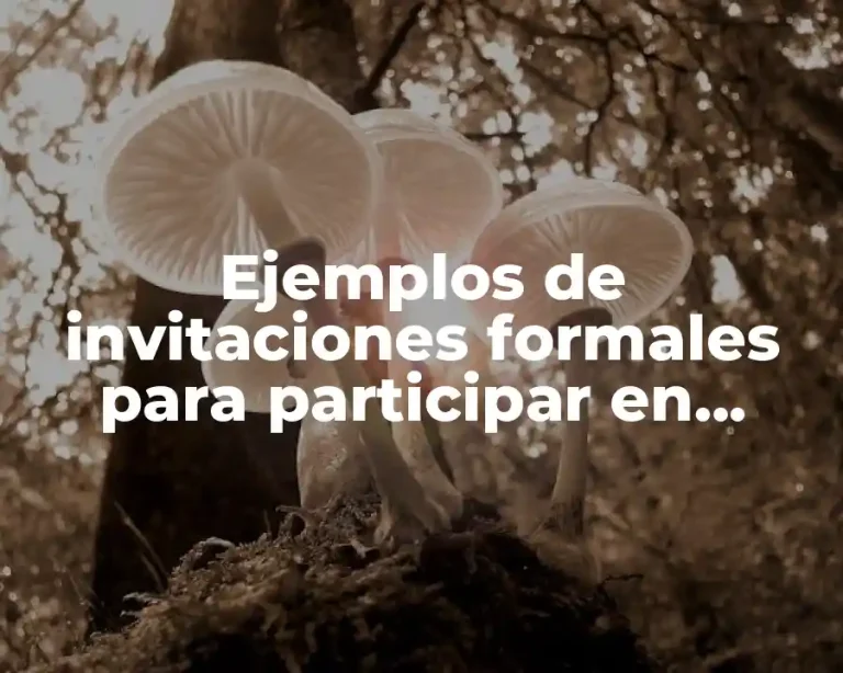 Ejemplos de invitaciones formales para participar en concurso de reina