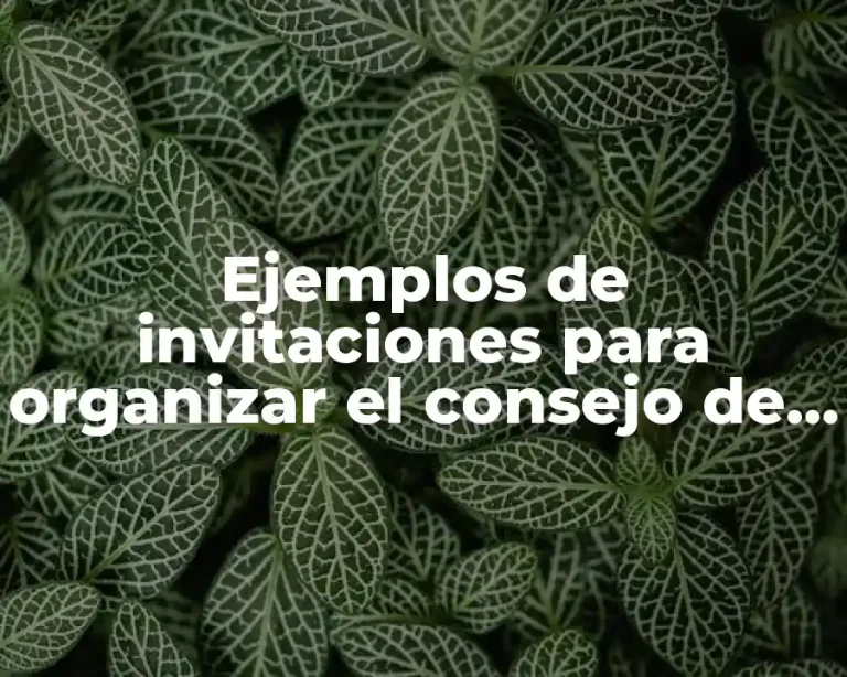Ejemplos de invitaciones para organizar el consejo de participación social