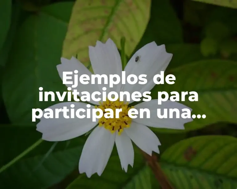 Ejemplos de invitaciones para participar en una pastorela y villancicos