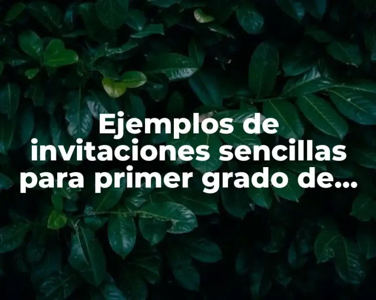 Ejemplos de invitaciones sencillas para primer grado de primaria