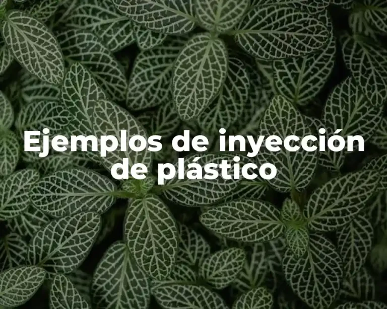 Ejemplos de inyección de plástico