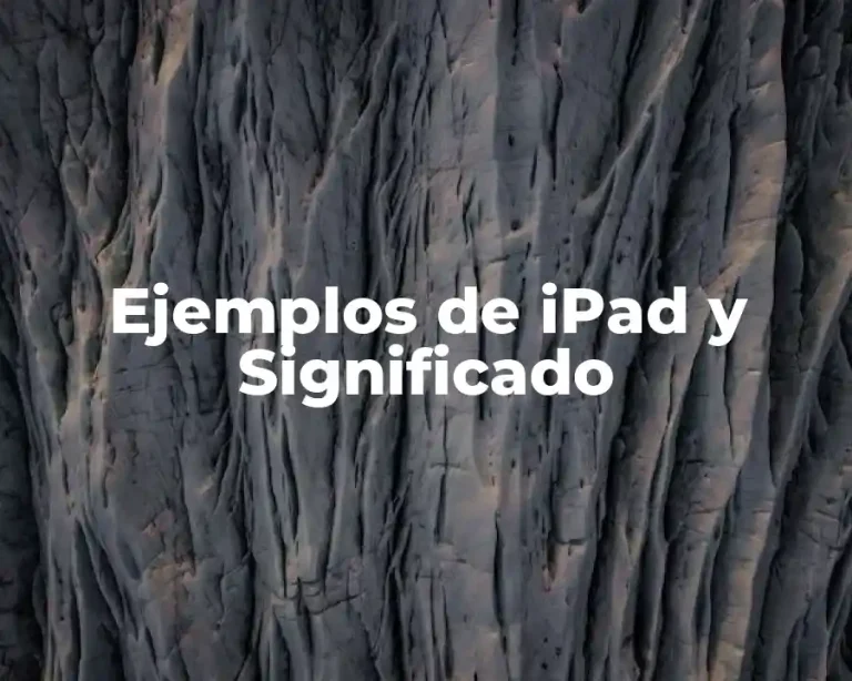 Ejemplos de iPad y Significado
