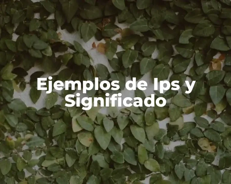 Ejemplos de Ips y Significado