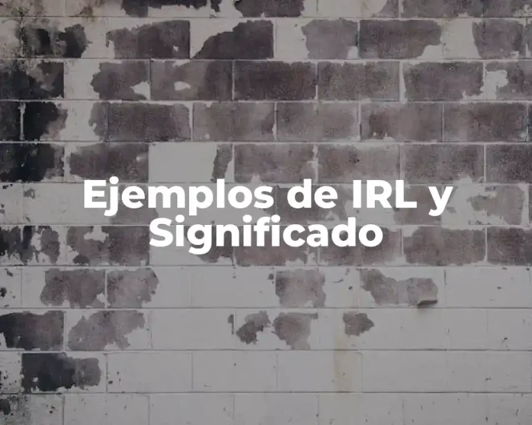 Ejemplos de IRL y Significado
