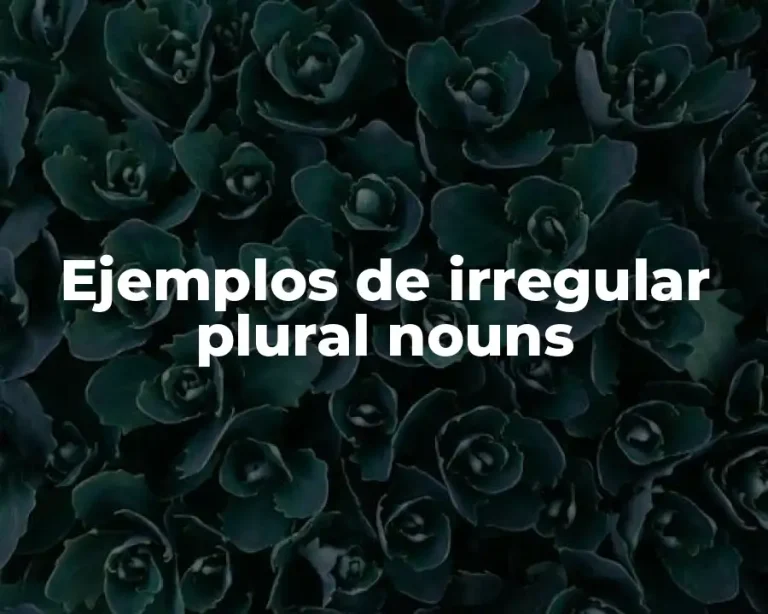 Ejemplos de irregular plural nouns