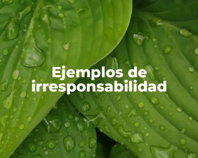 Ejemplos de irresponsabilidad