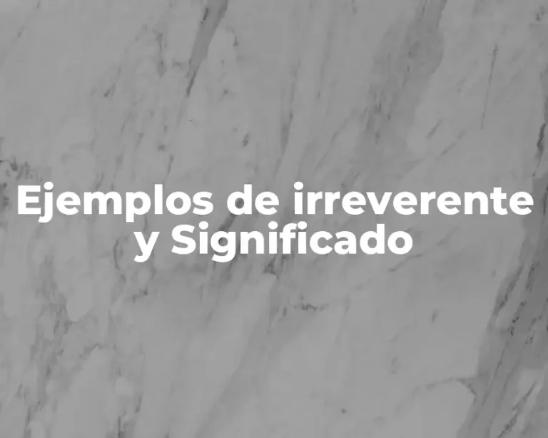 Ejemplos de irreverente y Significado