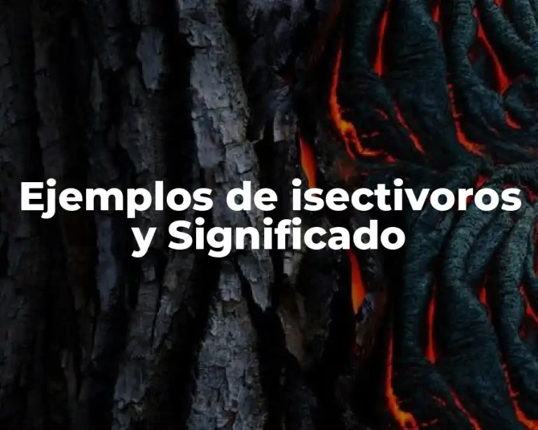 Ejemplos de isectivoros y Significado