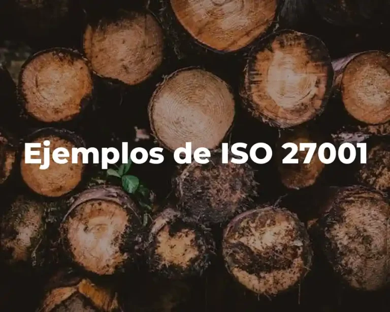 Ejemplos de ISO 27001