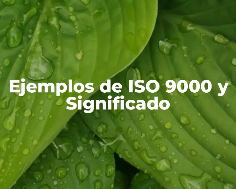 Ejemplos de ISO 9000 y Significado