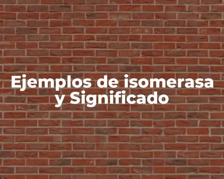 Ejemplos de isomerasa y Significado