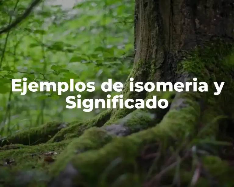 Ejemplos de isomeria y Significado