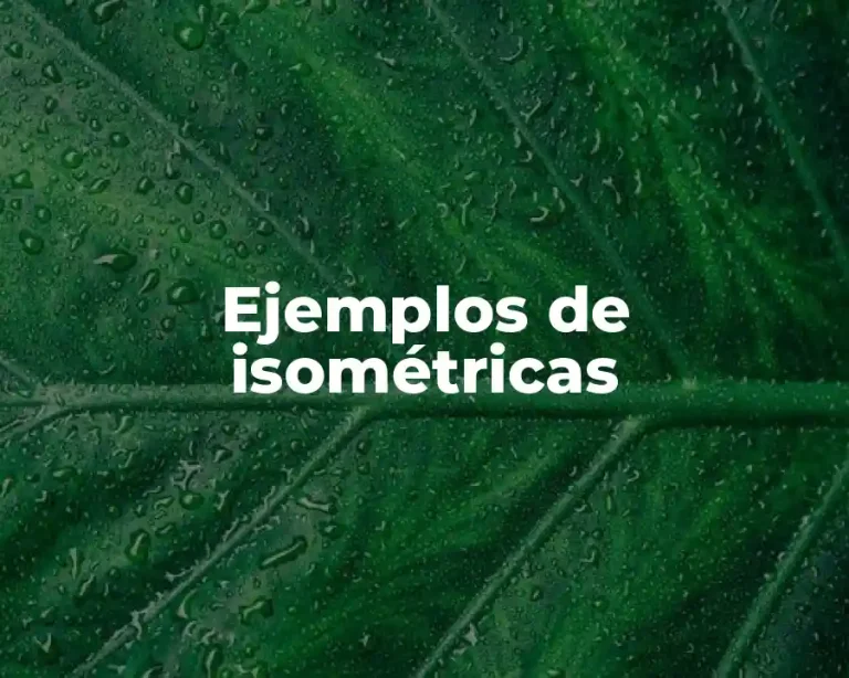Ejemplos de isométricas