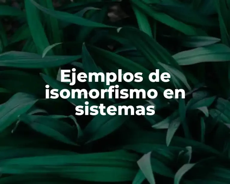 Ejemplos de isomorfismo en sistemas