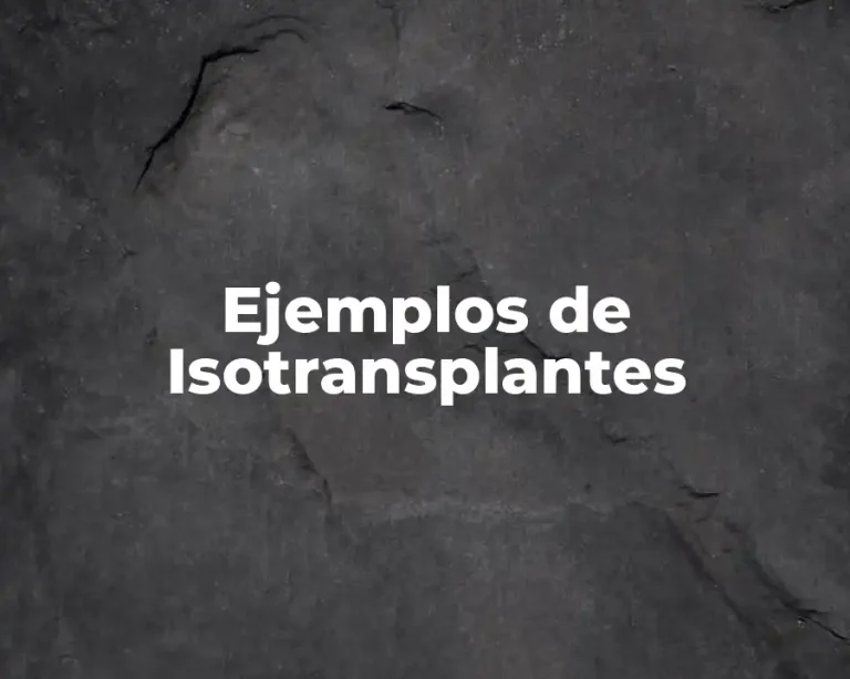 Ejemplos de Isotransplantes