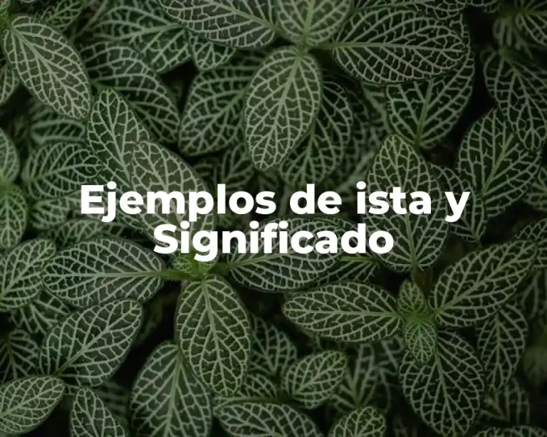 Ejemplos de ista y Significado