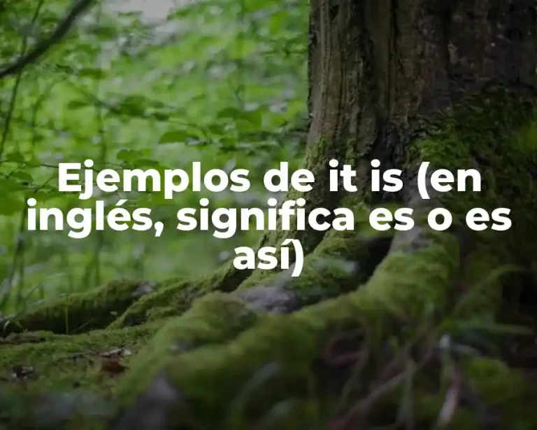 Ejemplos de it is (en inglés, significa es o es así)