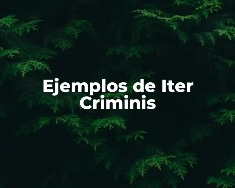Ejemplos de Iter Criminis