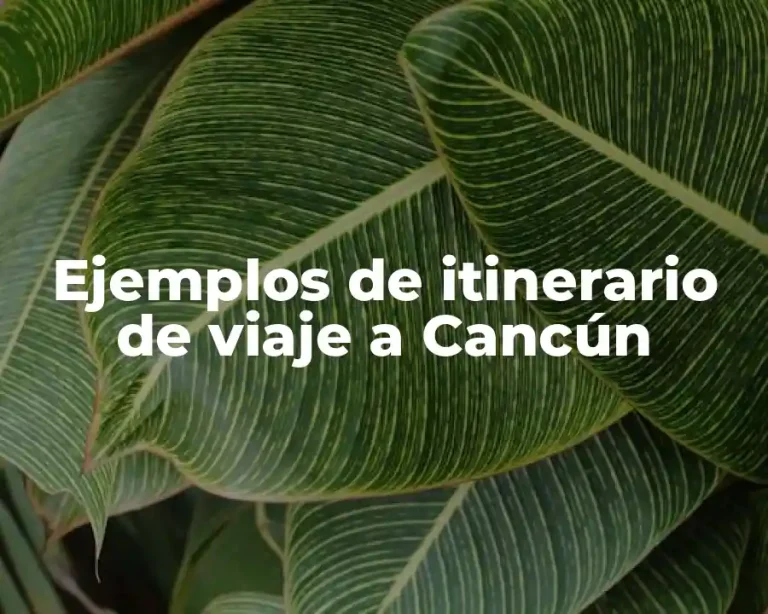 Ejemplos de itinerario de viaje a Cancún