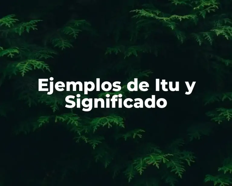 Ejemplos de Itu y Significado