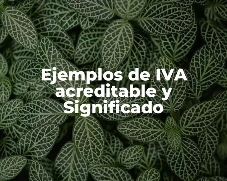 Ejemplos de IVA acreditable y Significado