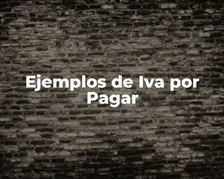 Ejemplos de Iva por Pagar