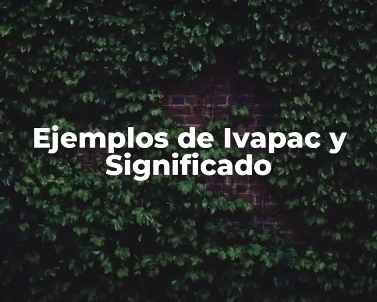 Ejemplos de Ivapac y Significado