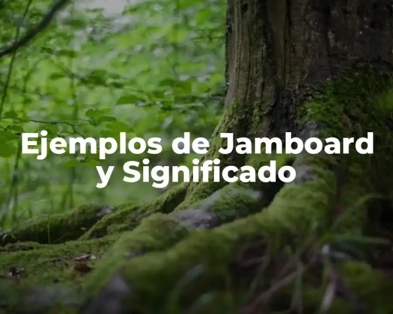 Ejemplos de Jamboard y Significado