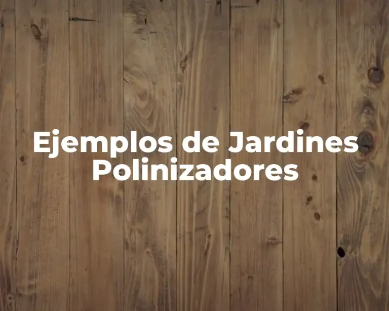 Ejemplos de Jardines Polinizadores
