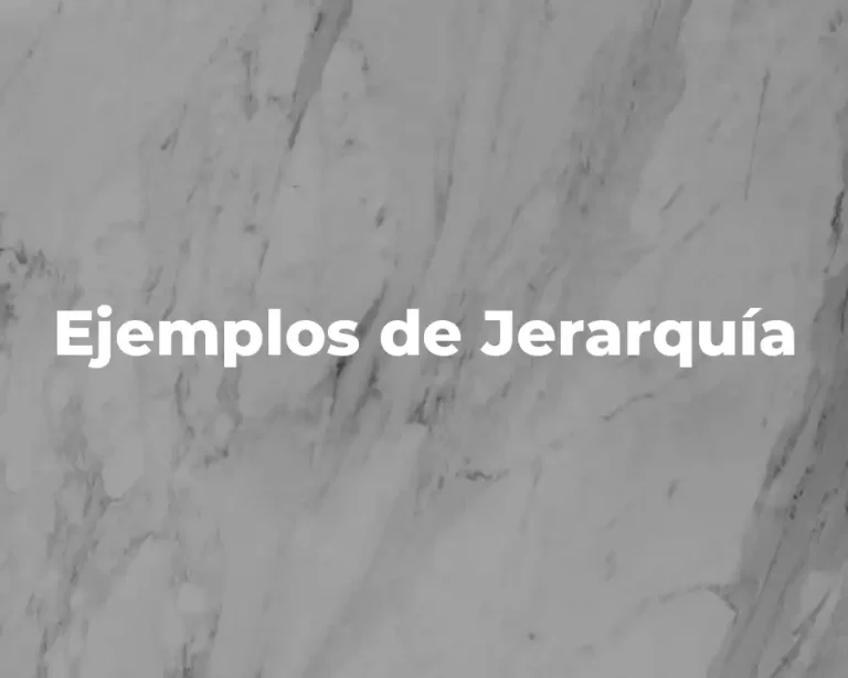 Ejemplos de Jerarquía