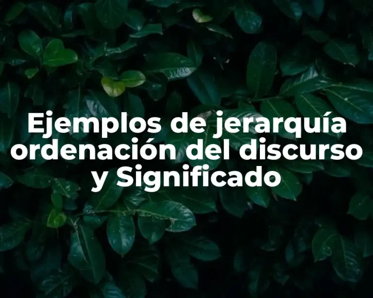 Ejemplos de jerarquía ordenación del discurso y Significado
