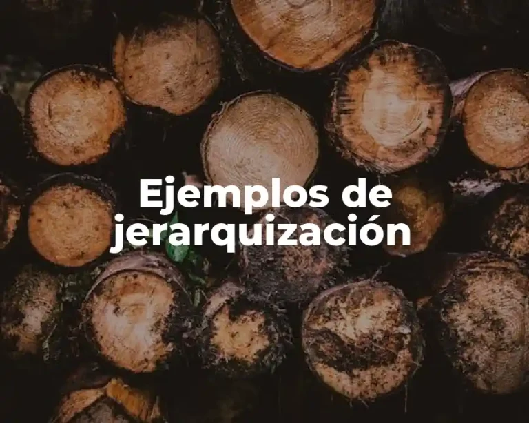 Ejemplos de jerarquización