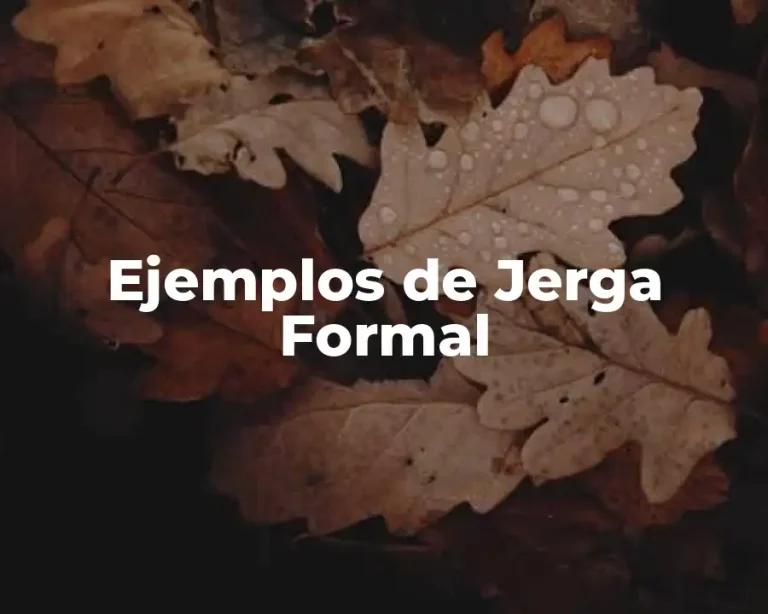 Ejemplos de Jerga Formal