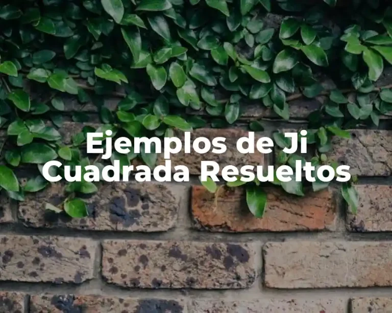 Ejemplos de Ji Cuadrada Resueltos