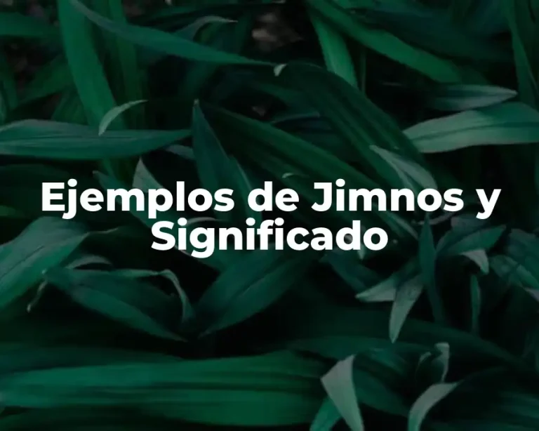 Ejemplos de Jimnos y Significado