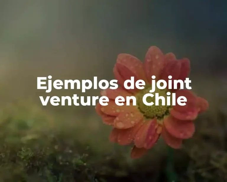 Ejemplos de joint venture en Chile