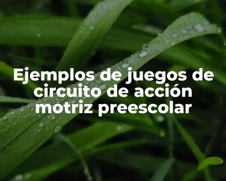 Ejemplos de juegos de circuito de acción motriz preescolar