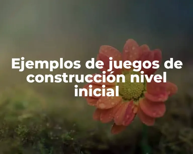 Ejemplos de juegos de construcción nivel inicial