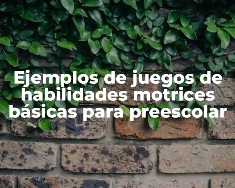 Ejemplos de juegos de habilidades motrices básicas para preescolar