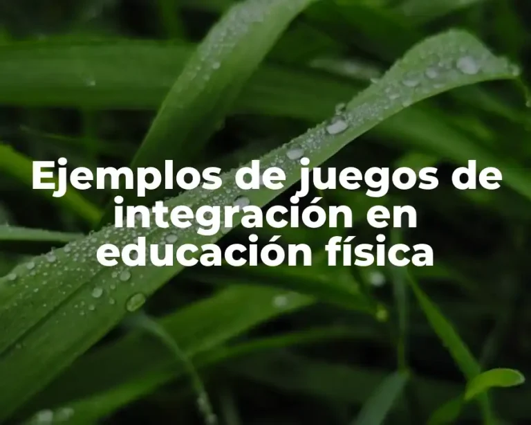 Ejemplos de juegos de integración en educación física