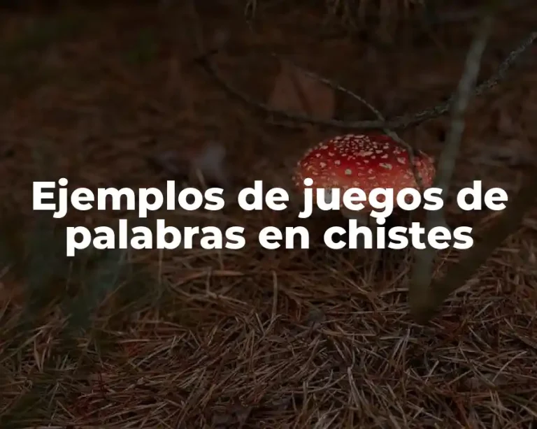 Ejemplos de juegos de palabras en chistes