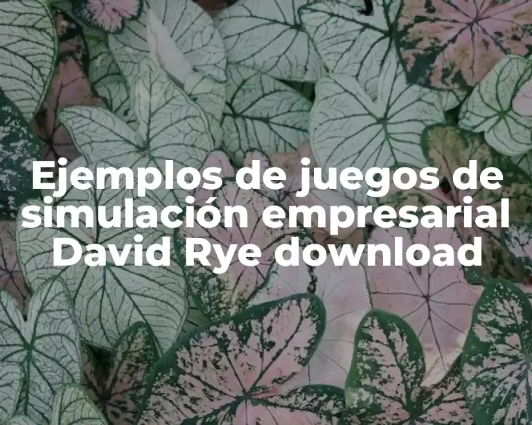Ejemplos de juegos de simulación empresarial David Rye download