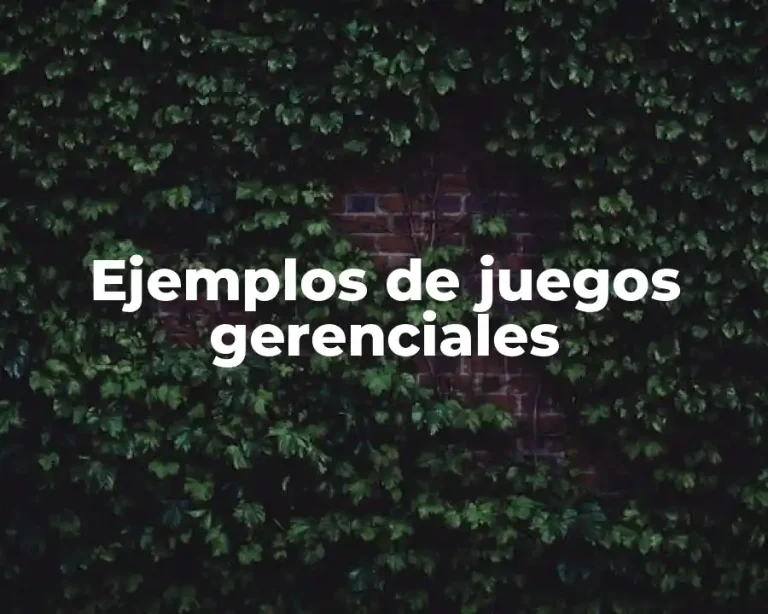 Ejemplos de juegos gerenciales